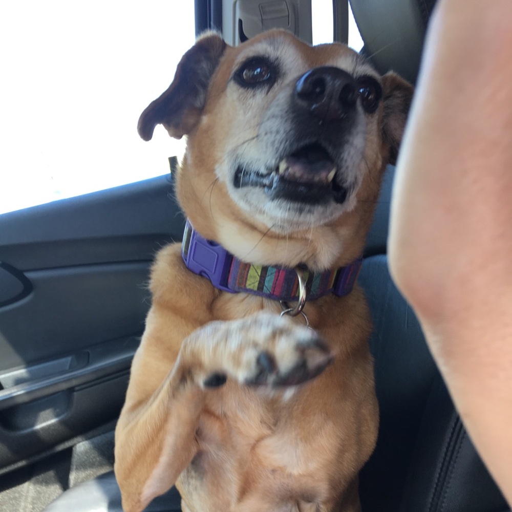 Meet your Posher, Veronica